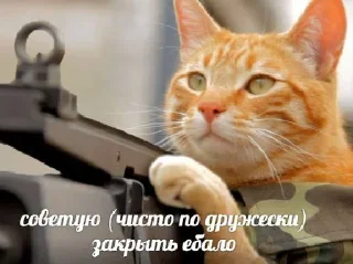 😠