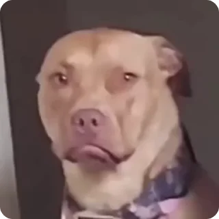 🥺