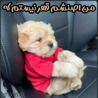 😞