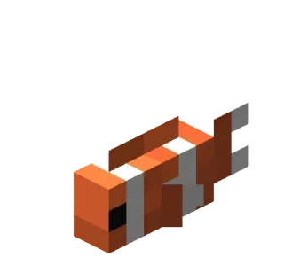 🐟
