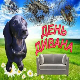 😇