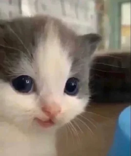 😔