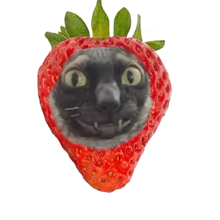 🍓