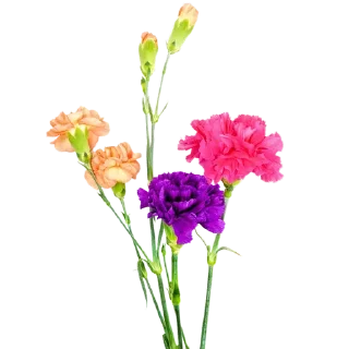 💐