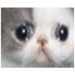 😞