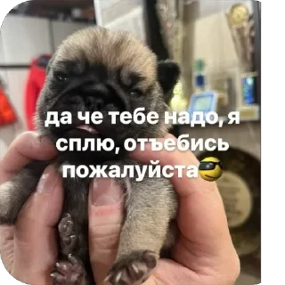 😴