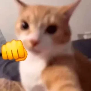 👊