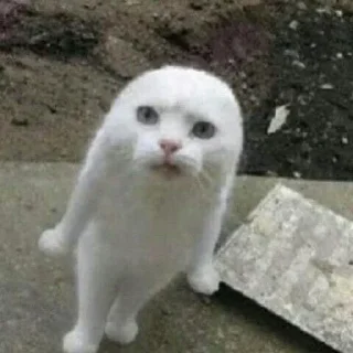 😟