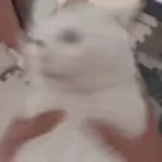 😵‍💫