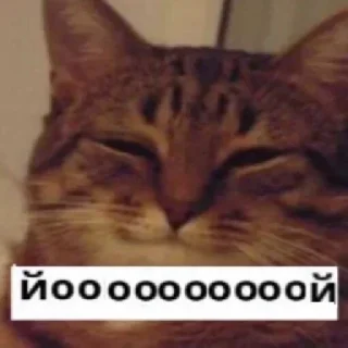 😮