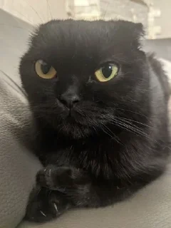 😶