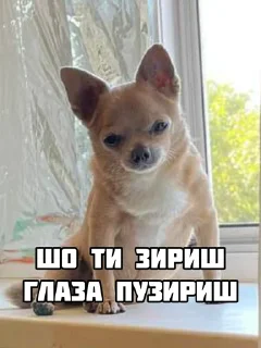 🫵