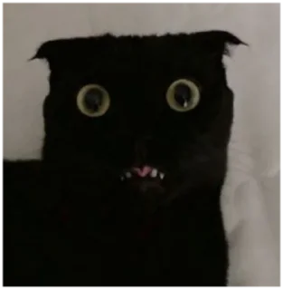 😧