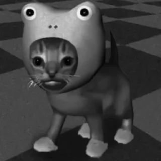 🐈‍⬛️