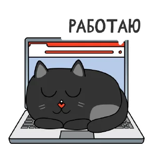 💻
