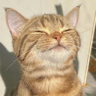 ☺️