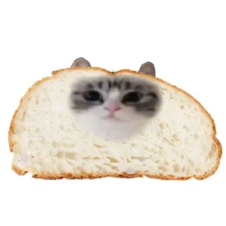 🍞