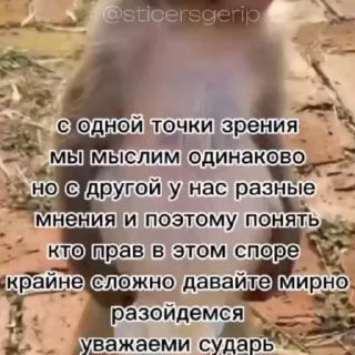 😂