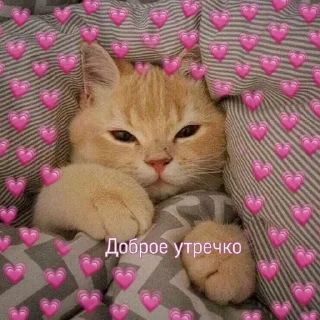 ❤