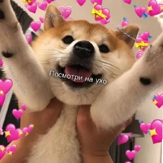 ❤️