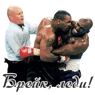 🥊