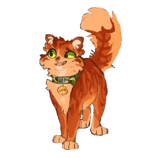 🐱