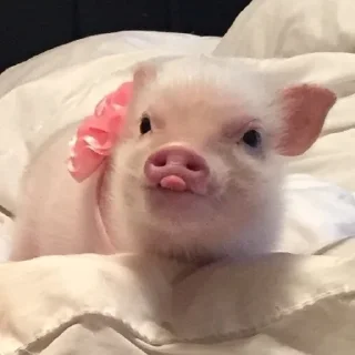 😝