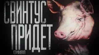 🐷