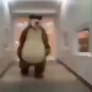 🐻