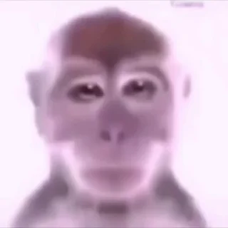 👤