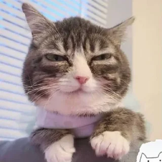 😑