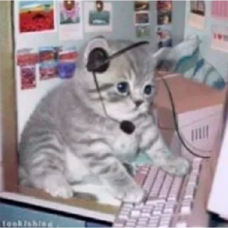 👨‍💻