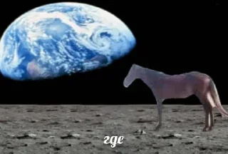 ❓