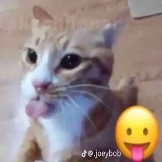 😛