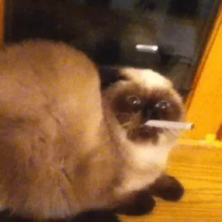 😨