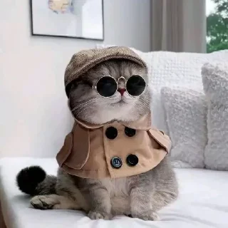 😎