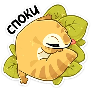 😴