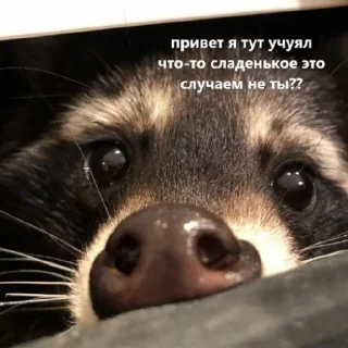 😍