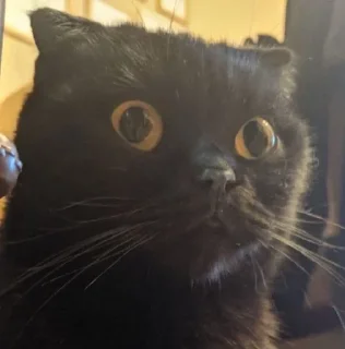 😳