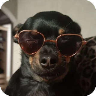 😎