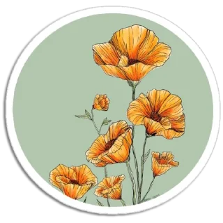 🌼