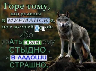 🐺