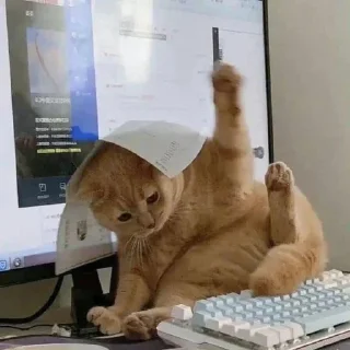 😴