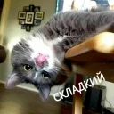 😋