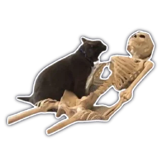 💀
