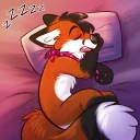 💤
