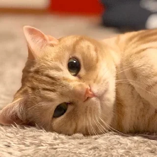 🙁