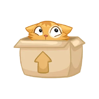 📦