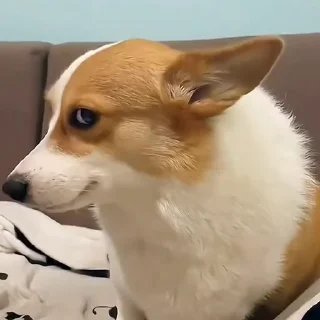 😊