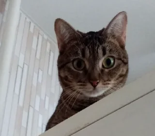 😳